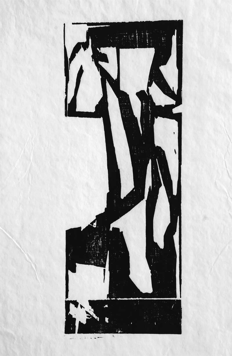 lotta-per-la-democrazia-t2