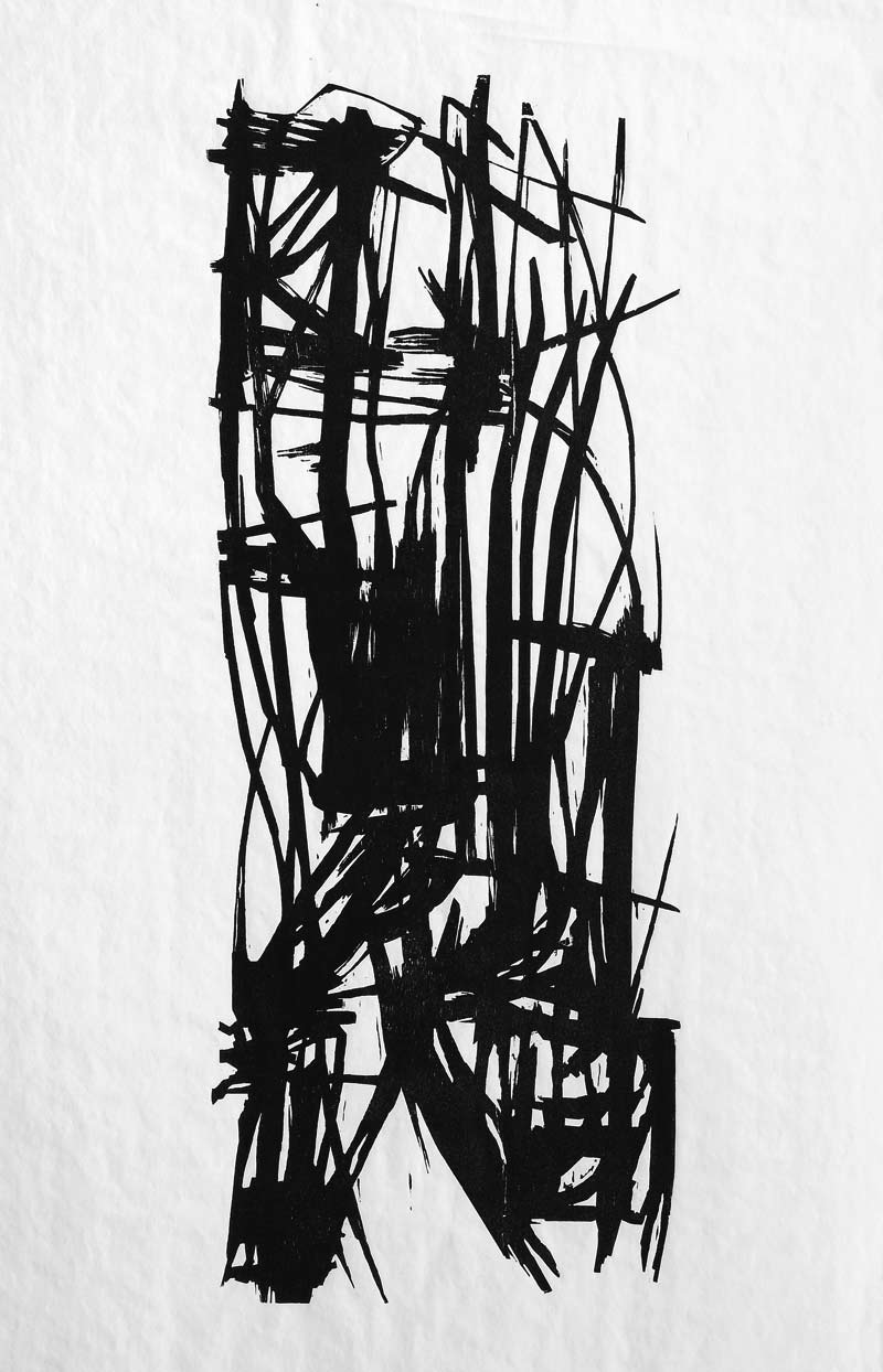 lotta-per-la-democrazia-t6